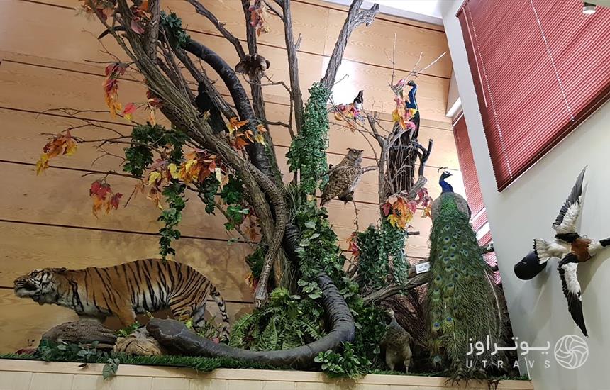 بخش پرندگان موزه دارآباد تهران